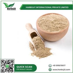 Polvo Apamarga de calidad superior 100%, extracto de hierbas naturales, grado alimenticio saludable para desintoxicación, salud digestiva, cuidado de la piel de la India - Product Image 6