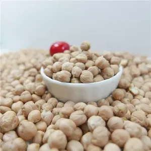 KABULI Dried Raw Chinese Origin <b>Chickpeas</b> for Sale 7mm 8mm 9mm Size Available - Product Image 2