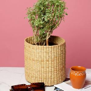 Jardinière en jacinthe d'eau, accessoires de décoration intérieure, paniers tissés de la plus haute qualité - Product Image 2