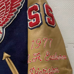 OEM personalizado de los hombres de la Universidad Varsity chaqueta Chenille bordado Bomber Varsity béisbol PU chaqueta de cuero para los hombres - Product Image 5