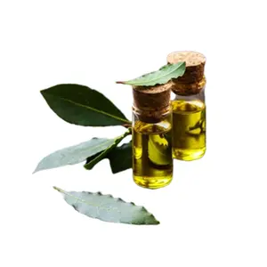 Produttore di olio essenziale di foglie di alloro di alta qualità in India olio di alloro naturale puro al 100% per l'etichettatura privata di vendita all'ingrosso