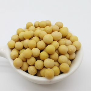 Semillas de soja de grado premium disponibles ahora compra a granel de semillas de soja para agricultura y suministro agrícola - Product Image 2