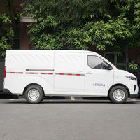 Wuling Yangguang NEV Van, véhicule utilitaire électrique 2-14 places, bus de passagers, autonomie 300 km, moteur électrique, conduite à gauche, à vendre