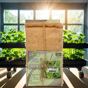 Kit Grow It Yourself (GIY) Paquete de inicio de jardinería sostenible con macetas y macetas plantables Precio al por mayor disponible - Product Image 1