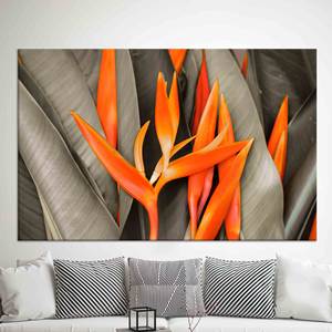 Impresión en Lienzo de Aves del Paraíso en Color Naranja Vibrante, Lienzo Enrollado - Product Image 1