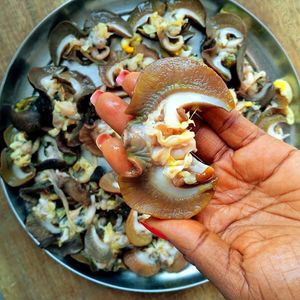 Suministro de fábrica a granel caracoles africanos secos picantes Premium de gran tamaño para exportación de delicadeza para niños y adultos - Product Image 1