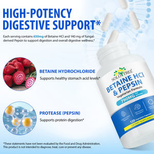 SOLOTREE Betaine HC-I 650mg & Pepsin 120 kapsul Vegan dukungan enzim pencernaan canggih untuk asam perut rendah - Product Image 6