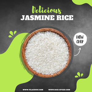 Top orgánico vietnamita DT8 arroz blanco fragante textura dura grano corto Similar Basmati supermercado minorista distribuidor contacto - Product Image 2