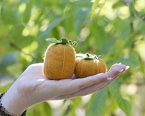 Fabriqué à la main automne récolte feutre citrouille décoration rustique automne décor à la maison et pièce maîtresse de Thanksgiving - Product Image 5