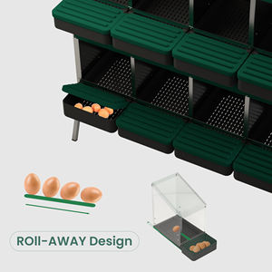 Recogida de Huevos Conveniente con Des Champs MG04D-L: Nido de Ocho Compartimentos para Uso en el Patio Trasero - Product Image 5