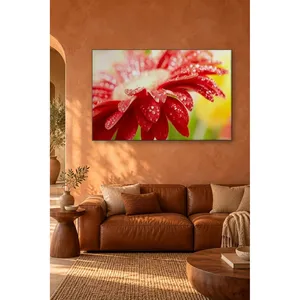 Impression sur toile de gerbera rouge rosée Fida en gros plan - Product Image 2