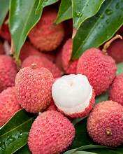 LYCHEE PURO CONGELADO FRUTA ENTERA PARA APOYO INMUNE NATURAL - Product Image 3
