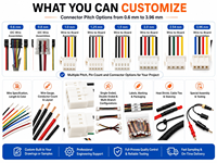 Rangkaian Kabel Harness Daya 2Pin Kustom dengan Konektor dan Ujung Kabel yang Sudah Dihaluskan untuk Perangkat Baterai Peralatan Elektronik OEM