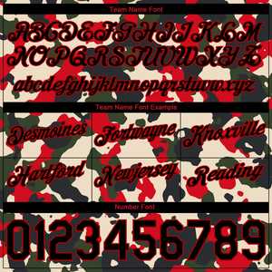 Short de basket-ball en maille à fermeture éclair pour hommes, conception personnalisée, lettre de sublimation brodée à deux étages pour hommes - Product Image 2