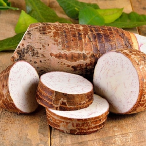TARO CONGELADO AL POR MAYOR | RICO EN FIBRA | SUMINISTRO SOSTENIBLE DE VIETNAM - Product Image 3