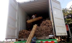 Tubes en bambou, produit tendance de 99D avec devis compétitifs pour les acheteurs en gros et les partenaires d'approvisionnement à long terme - Product Image 6