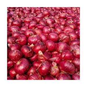 Cebolla roja fresca pelada de gran calidad, superventas, suministro a granel al por mayor, calidad superior, precio de fábrica, fresca y limpia - Product Image 1