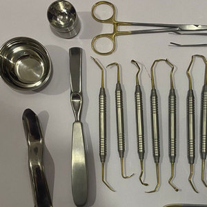 Turbina Odontologica Dental Manual Endodoncia Cirugía Oral Elevadores Juego de 13 piezas Implante Dental Instrumento Herramientas al por mayor - Product Image 4