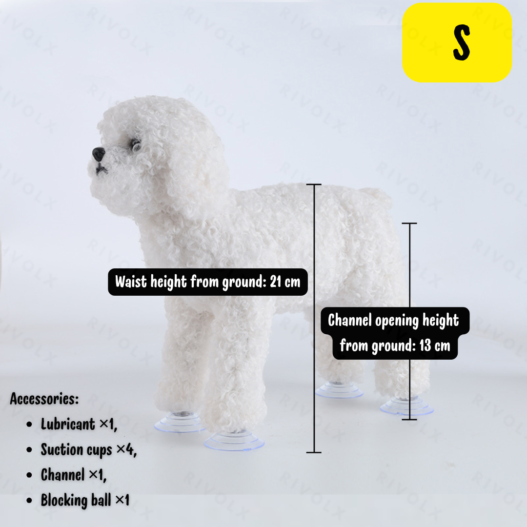 Caniche blanc (caniche jouet) S