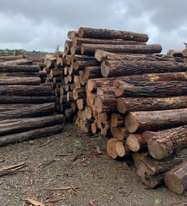 Premium Pine Hardwood Firewood <b>Logs</b> | Grade a Round Shape for <b>Heating</b> - Product Image 5