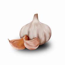 BOTÁNICO AJO CONGELADO HIERBAL NATURAL ETIQUETA LIMPIA APOYO INMUNE BASADO EN PLANTAS - Product Image 2