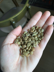 Los granos de café verde se suministran desde Bao Tram Anh Vietnam. Productos agrícolas de alta calidad al mejor precio. - Product Image 4