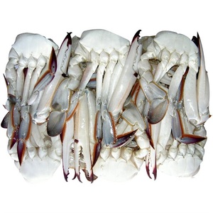ปูทะเลแช่แข็งสดสำหรับส่งออกอาหารทะเล - Product Image 4