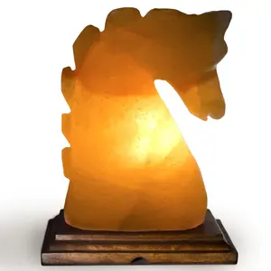 Lampes en forme de cheval de sel de l'Himalaya dans des tailles personnalisées, lampes à sel du Pakistan, lampes à sel de l'Himalaya pour la décoration intérieure - Product Image 2