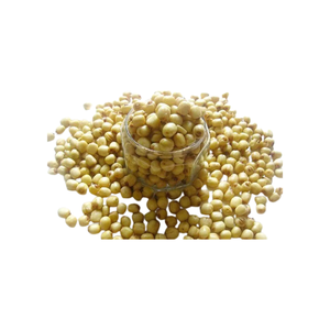 Venta al por mayor de semillas de loto secas con sabor a granel, semillas de loto secas crujientes - Product Image 4