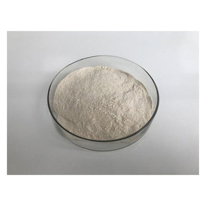 Venta al por mayor de enzima proteasa alcalina espesantes de grado alimenticio estabilizadores potenciadores de la nutrición - Product Image 5