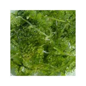 จัดส่งรวดเร็วอาหารทะเลสดใหม่ (หญ้าทะเล) อาหารสีเขียวคุณภาพสูงจากเวียดนามรองรับซิปบรรจุองุ่นทะเลอบแห้ง - Product Image 4