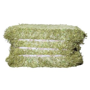 Alfalfa Hay, Rhodes <b>Grass</b>, Oats Hay Ready - Product Image 4