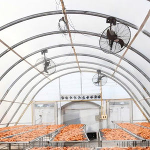 Film de serre haute performance pour le séchage des produits agricoles avec une excellente transmission de la lumière et de la chaleur Vente chaude 2025 - Product Image 6