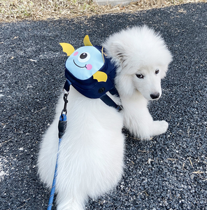 กระเป๋าเป้สัตว์เลี้ยงน่ารักสำหรับไก่ กระเป๋าใส่ขนมไนลอนสำหรับฤดูหนาว ระบายอากาศได้ดี อุ่นสบาย ลวดลายเรขาคณิตสไตล์ตะวันตก สำหรับพกพาออกนอกบ้าน - Product Image 3