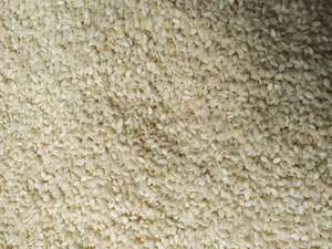 Export Quality Organic White Sesame <b>Seeds</b> Whole Natural Flavor for Food Industry Available At Discounted Price - Product Image 5