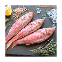 Mullet Rojo Congelado, Suministro al por Mayor, Pescado Congelado Premium para Supermercados en Todo el Mundo