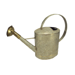 Bec en métal Fournisseur de jardin Arrosoir pour plantes Artisanat pour l'utilisation du jardin domestique Bidon d'eau en métal galvanisé avec antiquité - Product Image 3