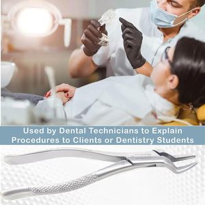 คีมถอนฟันเครื่องมือทันตกรรมแบบปรับแต่งได้ - Product Image 3