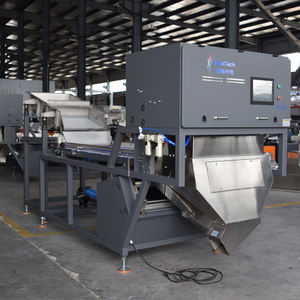 Gran capacidad 300-500kg Clasificador de color de ajo Máquina clasificadora de color de ajo fresco pelado y <span class=keywords><strong>sin</strong></span> <span class=keywords><strong>pelar</strong></span> - Product Image 6