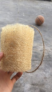 ใยบวบธรรมชาติ100% ธรรมชาติและสีเขียวเพื่อการห่อหุ้มวัสดุ Lufa สำหรับแสดงร่างกายอาบน้ำหรือล้างจาน - Product Image 4