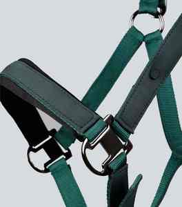 Collier de tête de cheval de haute qualité, style anglais, idéal pour l'entraînement de saut en plein air et le travail en écurie - Product Image 6