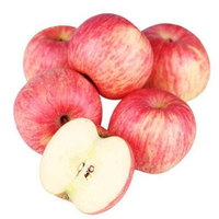 Verse biologische hoogwaardige rode Fuji appels voor groothandel