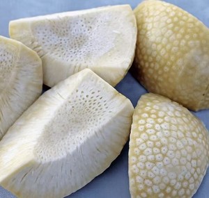 Chất lượng cao đông lạnh breadfruit/iqf lát hoặc khối/số lượng lớn bao <span class=keywords><strong>b</strong></span>ì cho xuất khẩu trên toàn thế giới - Product Image 1