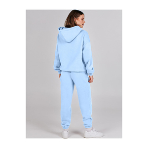 Alta calidad 100% algodón Tech Fleece mujer chándal liso de gran tamaño de dos piezas de alta calidad para mujer chándal para la venta - Product Image 6
