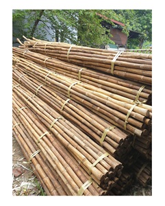 Vente chaude 2024 matériau naturel blanc rotin poli naturel poteau rond/canne fabriqué au Vietnam - Product Image 1
