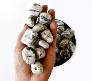 Wholesale Polished <b>Tree</b> Agate 1kg Natural Healing Tumbled Stones Semi Precious <b>Crystal</b> For Decoration Meditation - Product Image 2