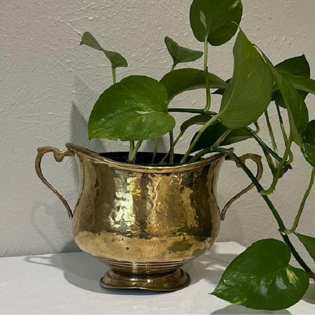 ตามที่แสดง