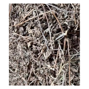 LEADING EXPORT PRODUCT <b>GRASS</b> JELLY FROM VIETNAMESE SUPPLIER - Product Image 3