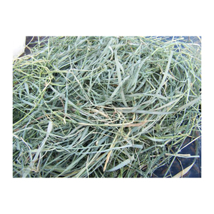 Bán Nóng! Hỗn hợp hay cỏ linh lăng viên mất nước <span class=keywords><strong>Alfalfa</strong></span> khối cho ngựa gia súc lợn tốt và giá rẻ cung cấp số lượng lớn - Product Image 3