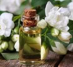 โรงงานผู้ผลิตขายส่งน้ำมันดอกพุดบริสุทธิ์ 100% จากธรรมชาติ คุณภาพพรีเมียม ราคาประหยัด จากประเทศอินเดีย - Product Image 5